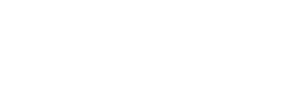 Adobe Certified Professional — Adobe Commerce Developer